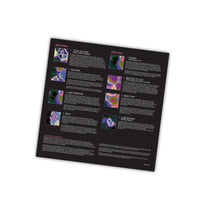 Ferry Corsten - Connect (Vinyl)